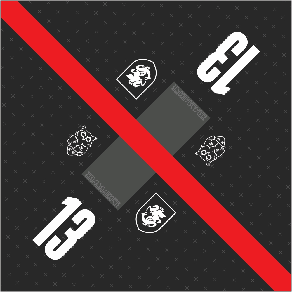 ბენდენა - მე ვარ საქართველო #13