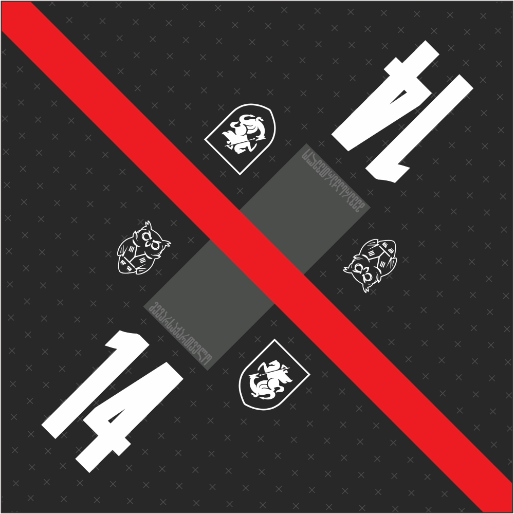 ბენდენა - მე ვარ საქართველო #14