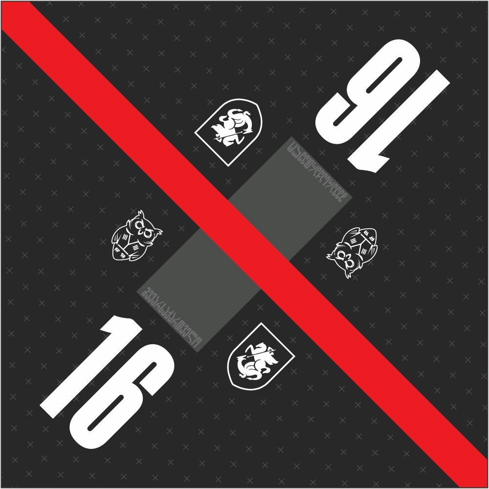 ბენდენა - მე ვარ საქართველო #16