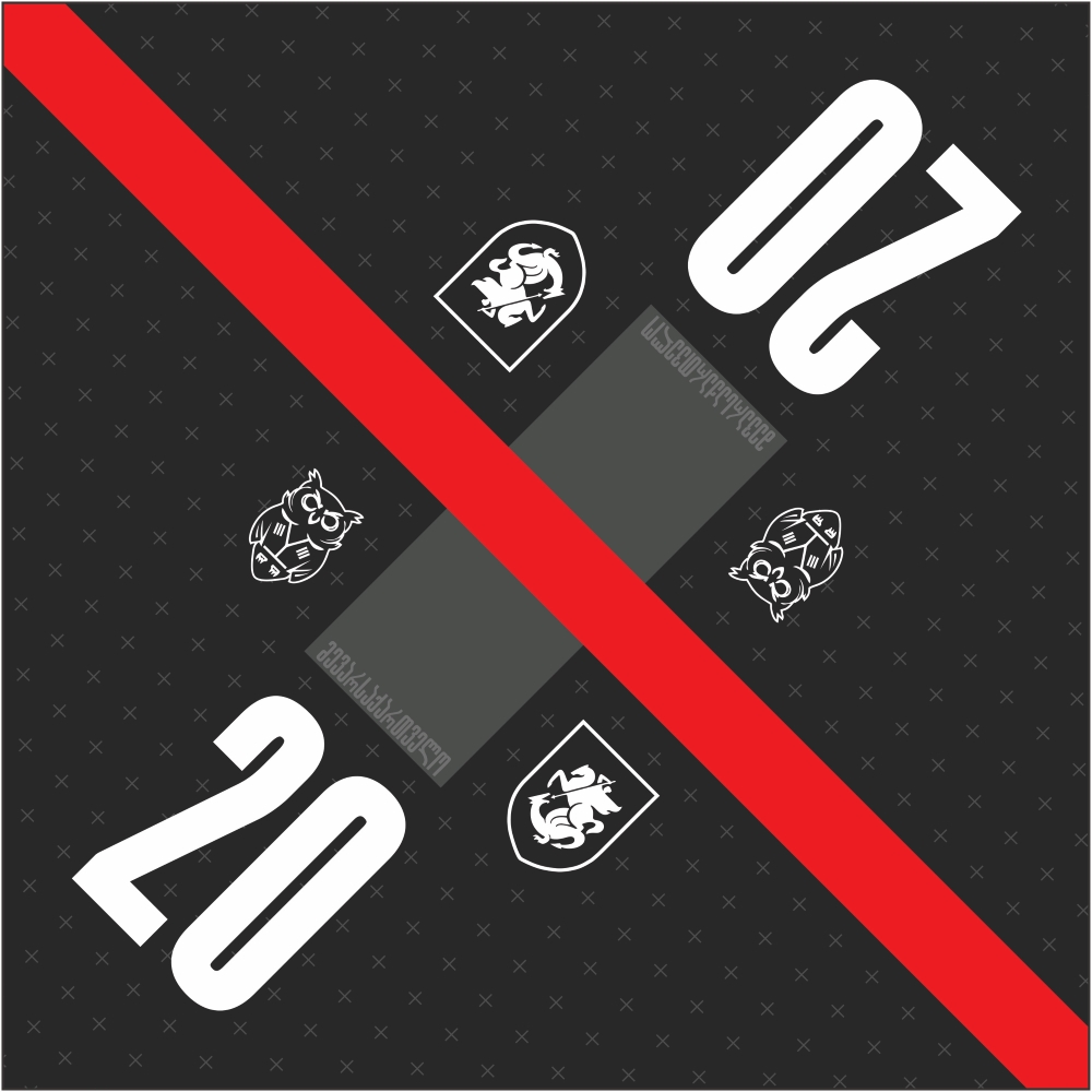 ბენდენა - მე ვარ საქართველო #20