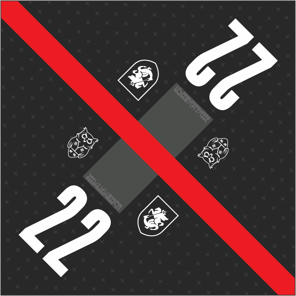 ბენდენა - მე ვარ საქართველო #22