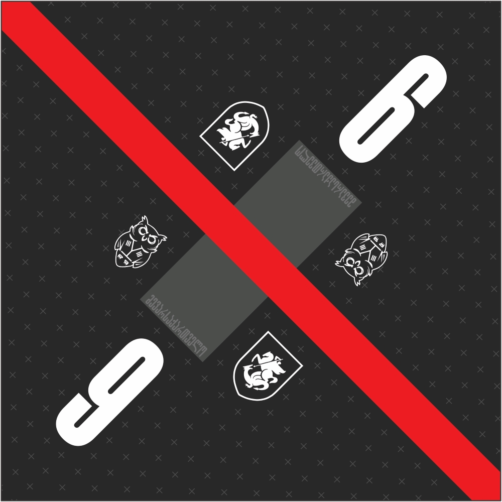 ბენდენა - მე ვარ საქართველო #9